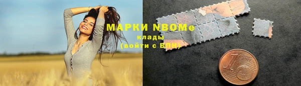 винт Абаза