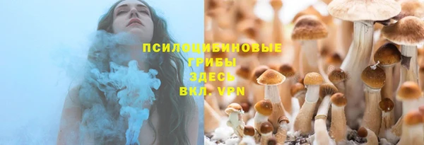винт Абаза