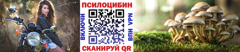 Галлюциногенные грибы Magic Shrooms Терек